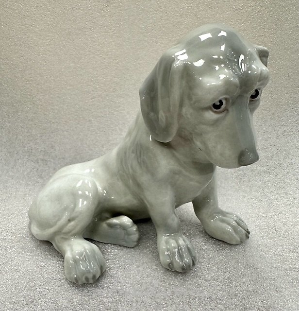 The translation of the text is "Sad dog, HEUBACH, GERMANY."