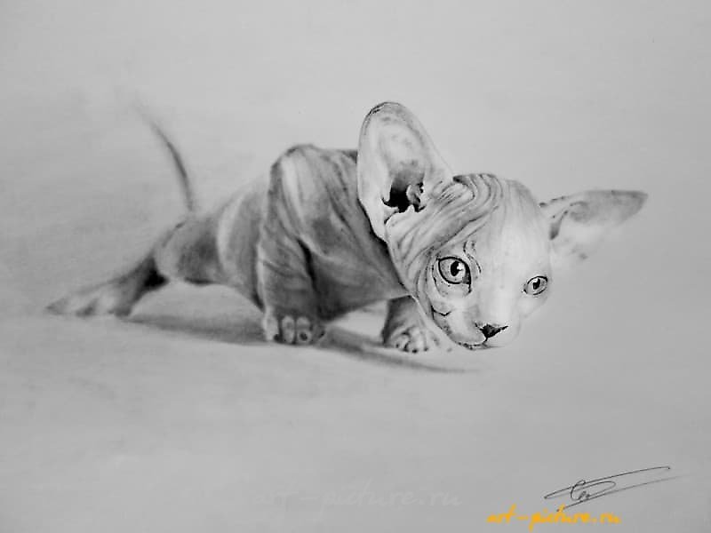 狩猎 笔，纸（阴性）