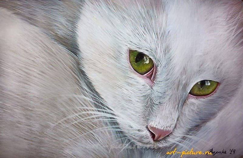 "Коть" акриль,акварельная бумага 