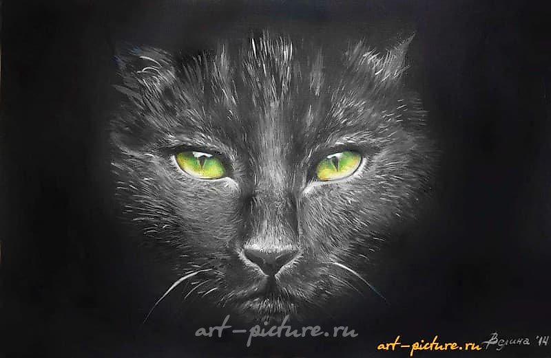 "Коть" акриль,акварельная бумага 