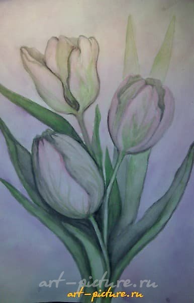 Тюльпаны акварель, бумага 