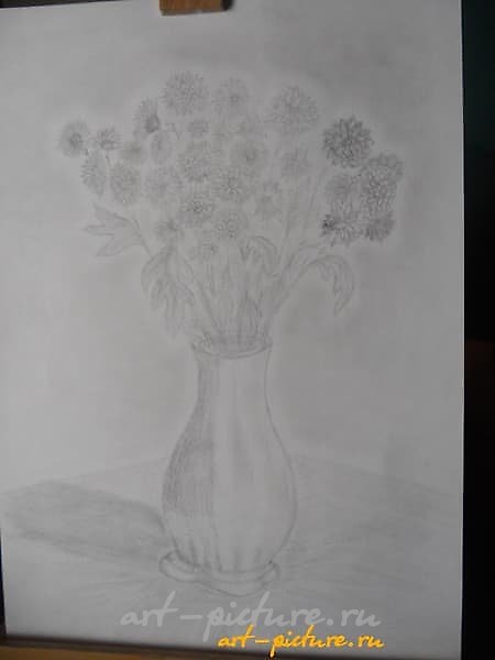 Хризантемы графика