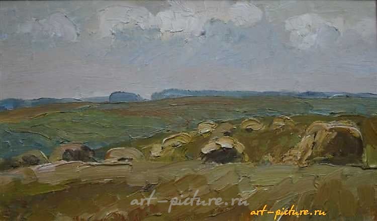 Поле. Картон, масло. 33 х 55 см
