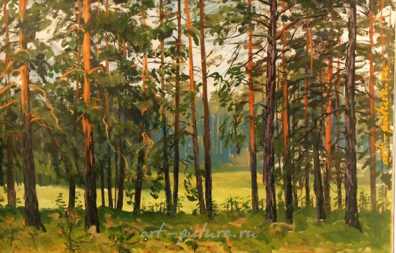 Корабельная роща. холст,масло 