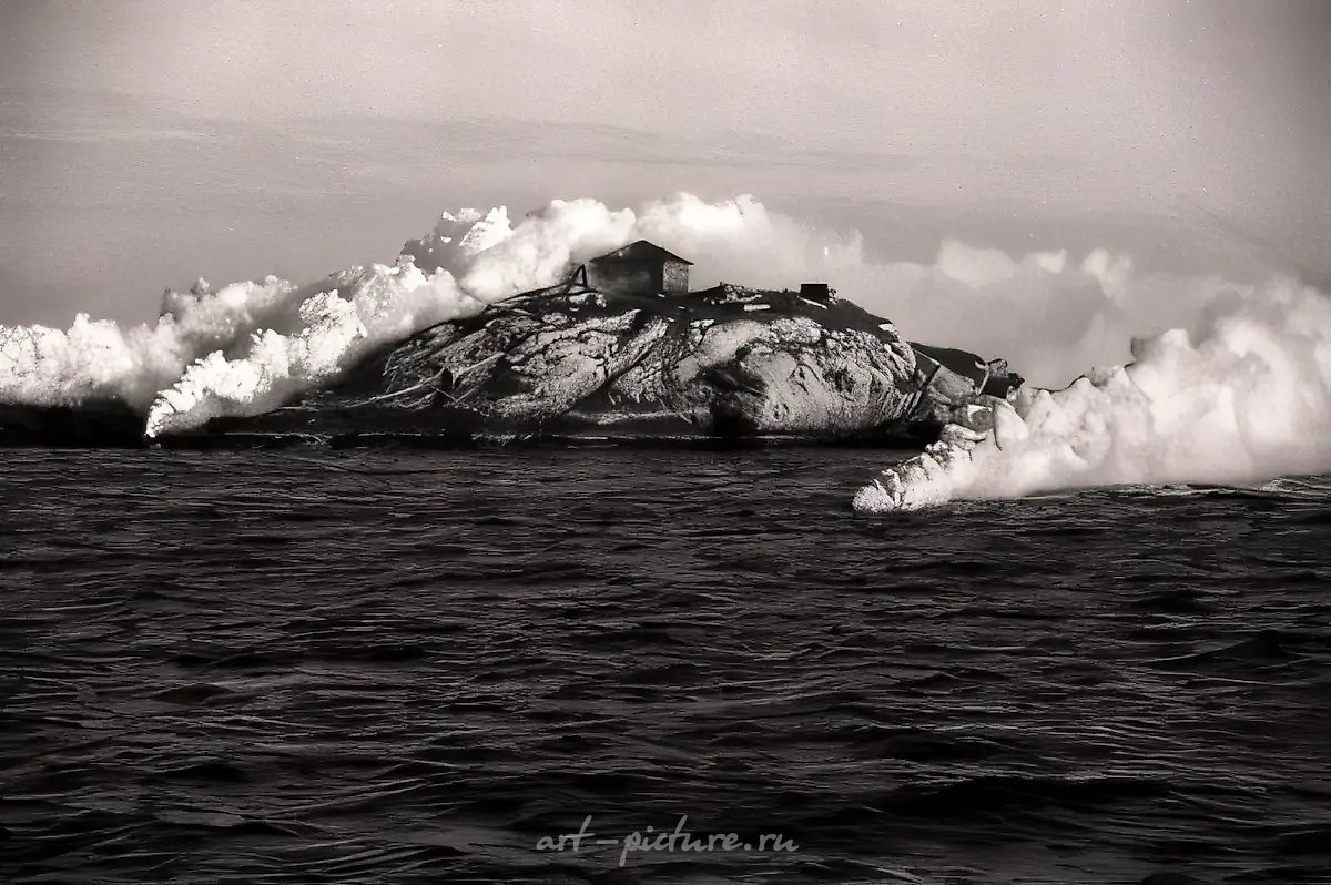 Акция "Майа. Потерянный остров"., 2002, Акция,