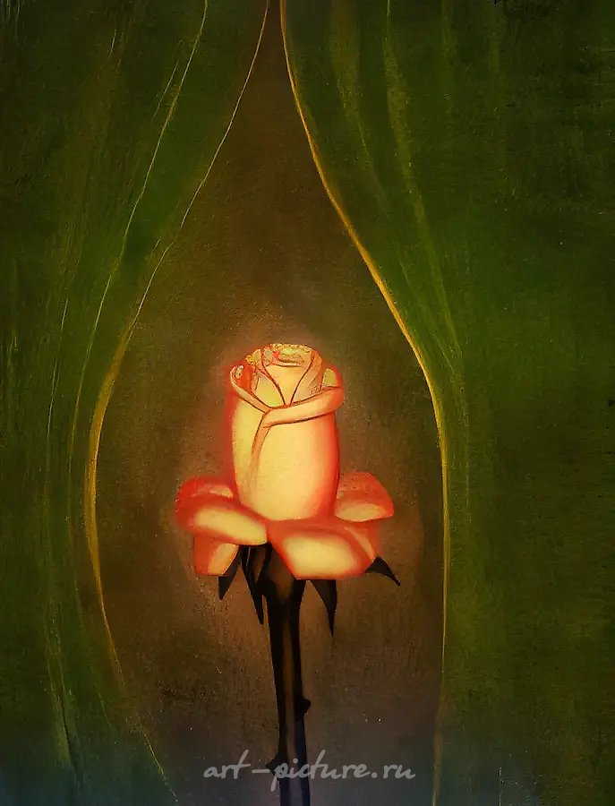 Светящаяся роза, 1993, холст, масло, 80х60