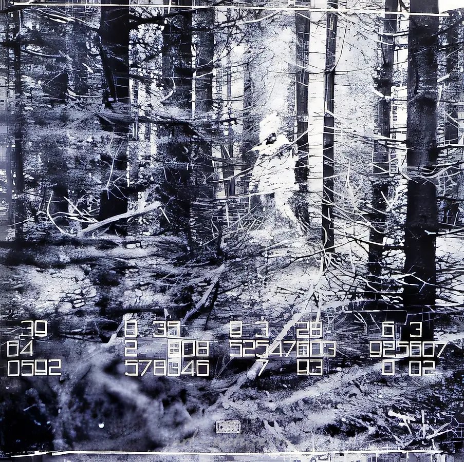 FENSO LIGHTS, 1993, Фотография, 135х120 см Собственность авторов