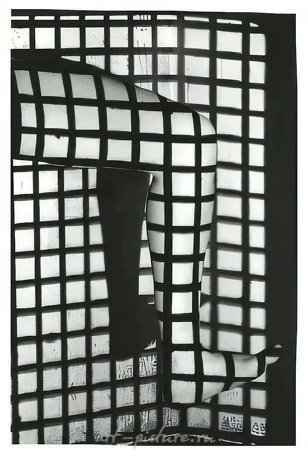 Projection, 1993, ч/б фотография, 100х150 Собственность автора