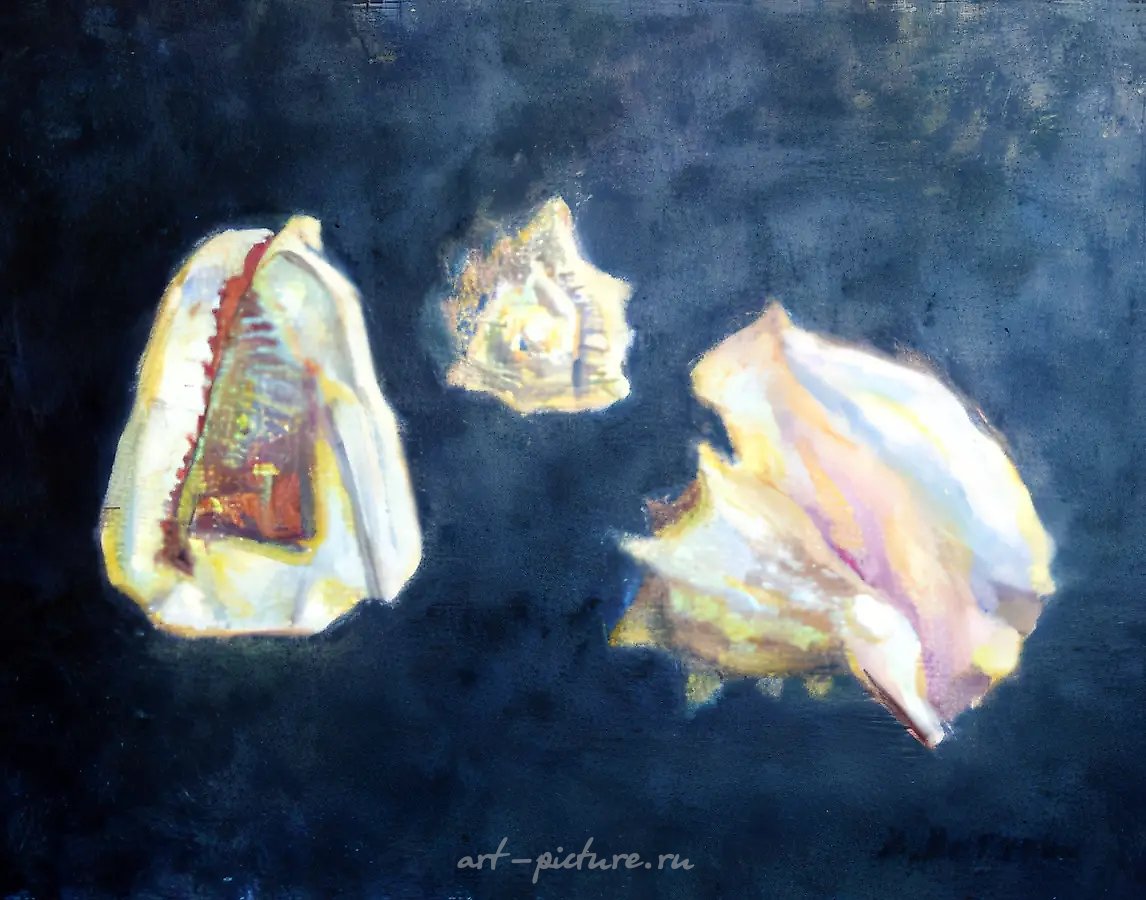 Раковины., 1997, холст, масло, 50 х 61