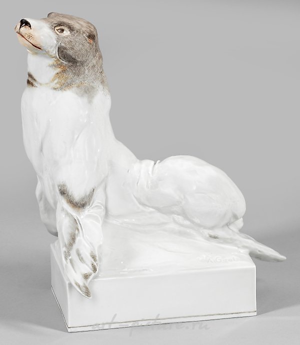 Sea lion