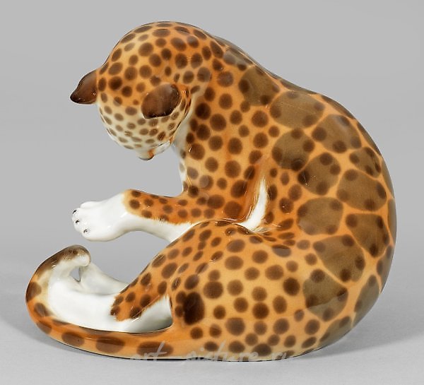 Sitting, the young leopard.