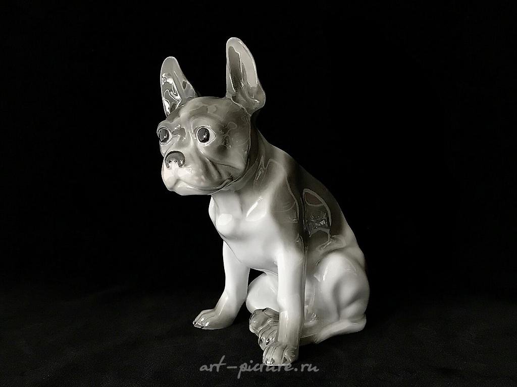 Statue "French Bulldog" Hutschenreuther Germany 1925-1929