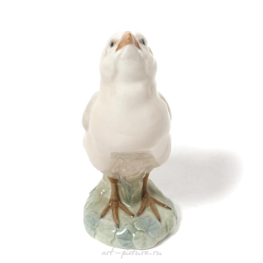 Цыплёнок индейки. Дания, г. Копенгаген, Royal Copenhagen, 1923