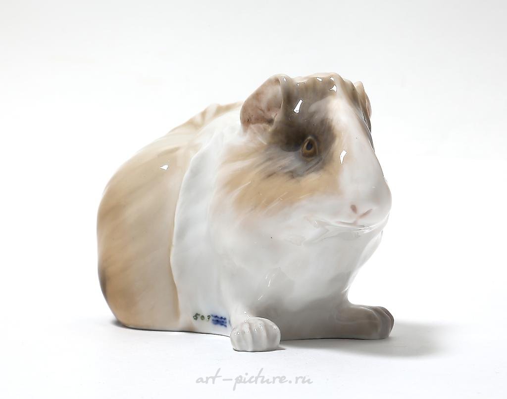Guinea pig. Denmark, Copenhagen, Royal Copenhagen, 1898-1923.