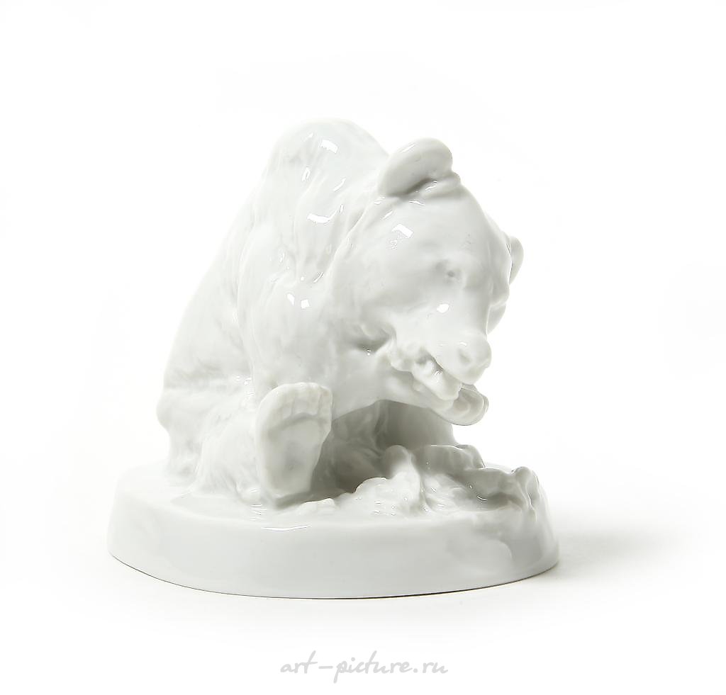白熊，德国，迈森。