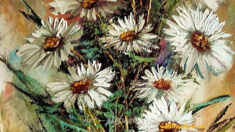 "Daisies oil, canvas"
