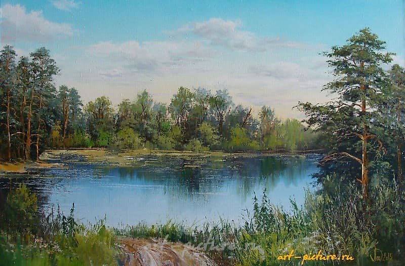 Летний пейзаж масло,холст