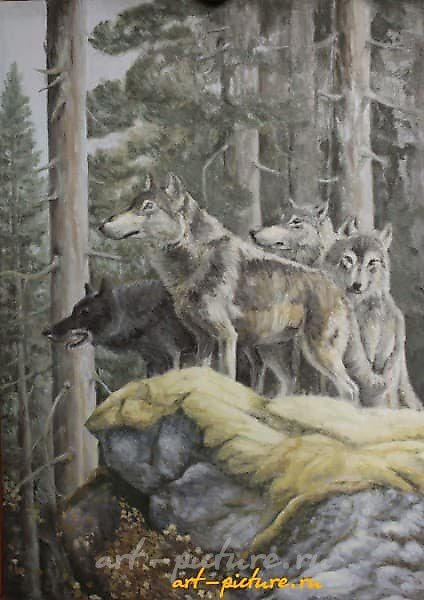 "Wolves oil, canvas"