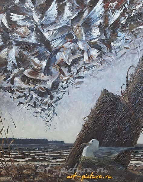Птицы масло, холст 