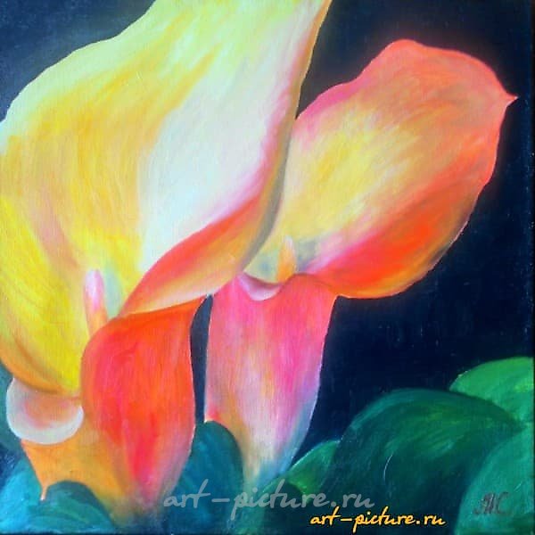 "Callas, canvas, oil"