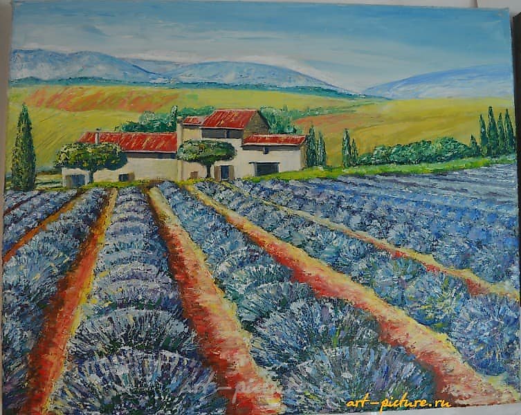 Запах Прованса холст, масло