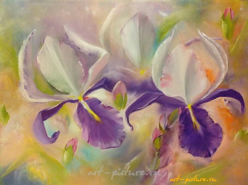 The translation of "Ирисы Масло" into English is "Iris Oil."