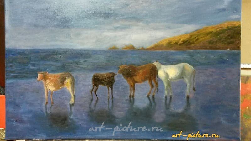 Гоанские коровы Масло, холст 