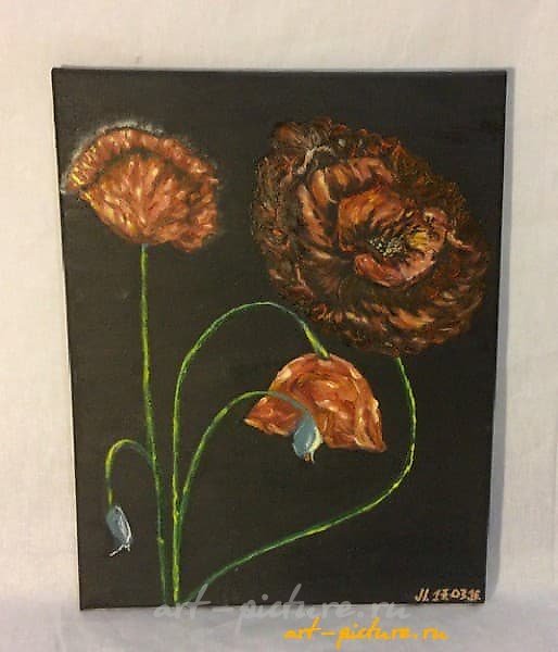 The painting "Scarlet Poppies." Canvas, oil, handmade. Oil, canvas.
