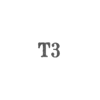 Промкомбинат "Эду" г. Тарту - "Т3" - 1963
