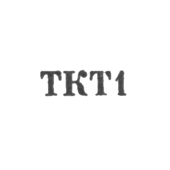 Jewelry workshop of the Vyrusk industrial complex "Tamula" - "TKT1" - 1961