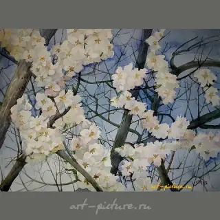 盛开的花，水彩