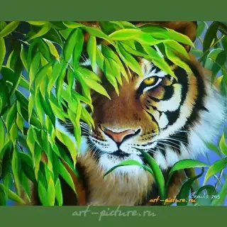 The translation of "Тигры" into English is "Tigers."