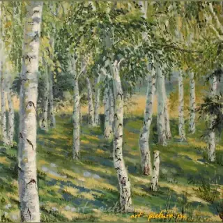 The translation of "Березки масло, холст" into English is "Birch trees, oil on canvas."