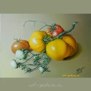 "Yellow tomatoes, canvas, oil"