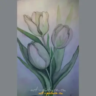 郁金香 水彩，纸张
