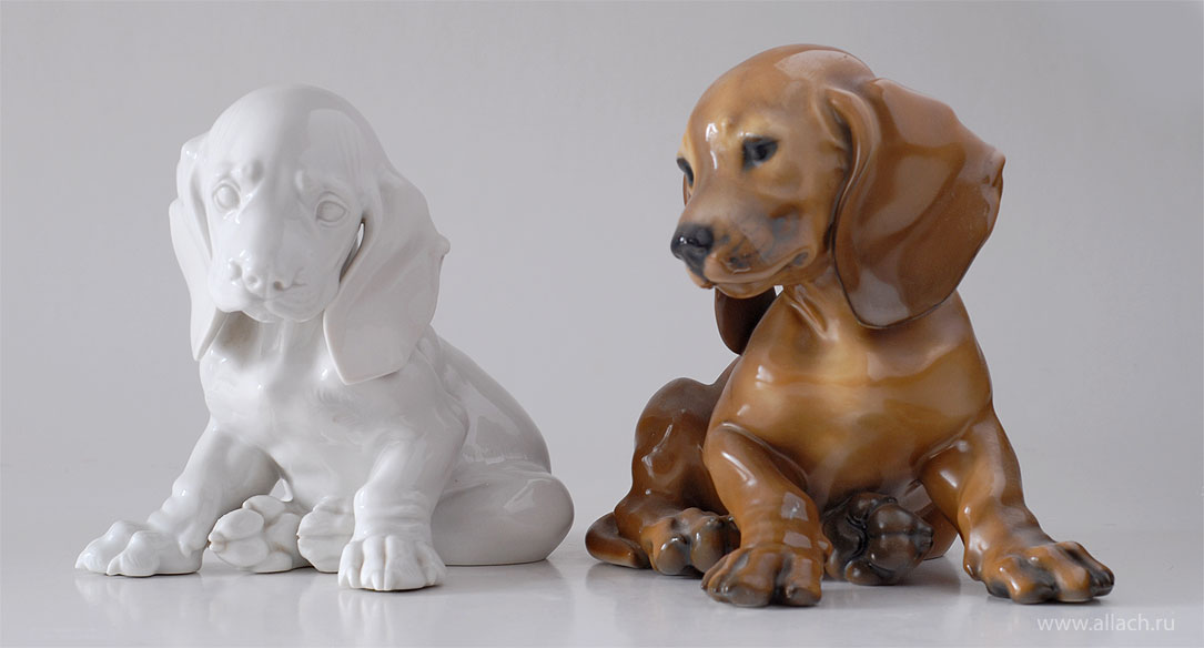 Left - Dachshund puppy No. 2 ALLACH; Right - Dachshund puppy No. 1247 ROSENTHAL