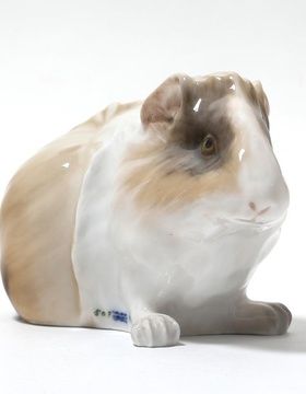 купить Морская свинка. Дания, г. Копенгаген, Royal Copenhagen, 1898-1923 гг.