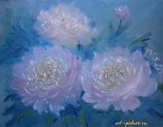 Peonies on a blue background Cardboard oil
