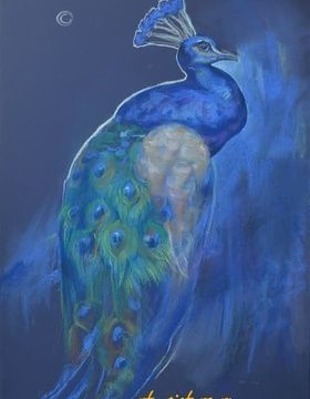 купить «Павлин. Ночь». Пастель, бумага.