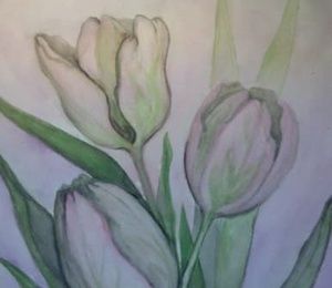 Watercolor tulips, paper
