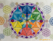Multifaceted flower of life of thin worlds of pencils