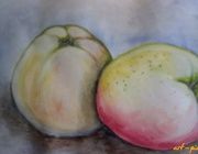 Belarusian apples of watercolor, paper