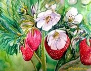 Strawberry paper, watercolor