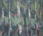 купить Березы. Холст, масло. 47 х 38 см