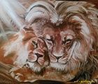 Lions.Tenderness oil, canvas