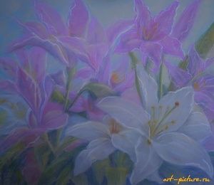 Lilies pastel, paper