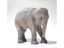 Фарфоровая статуэтка "Слон" 501. Royal Copenhagen