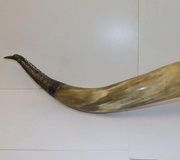 Drinking horn with white metal mounts and niello decoration...