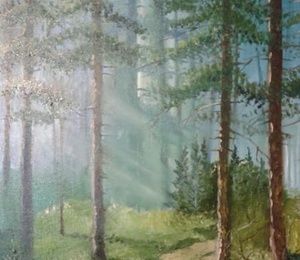 Morning forest canvas oil
