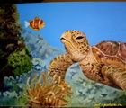 buy TURTLE Oil, canvas